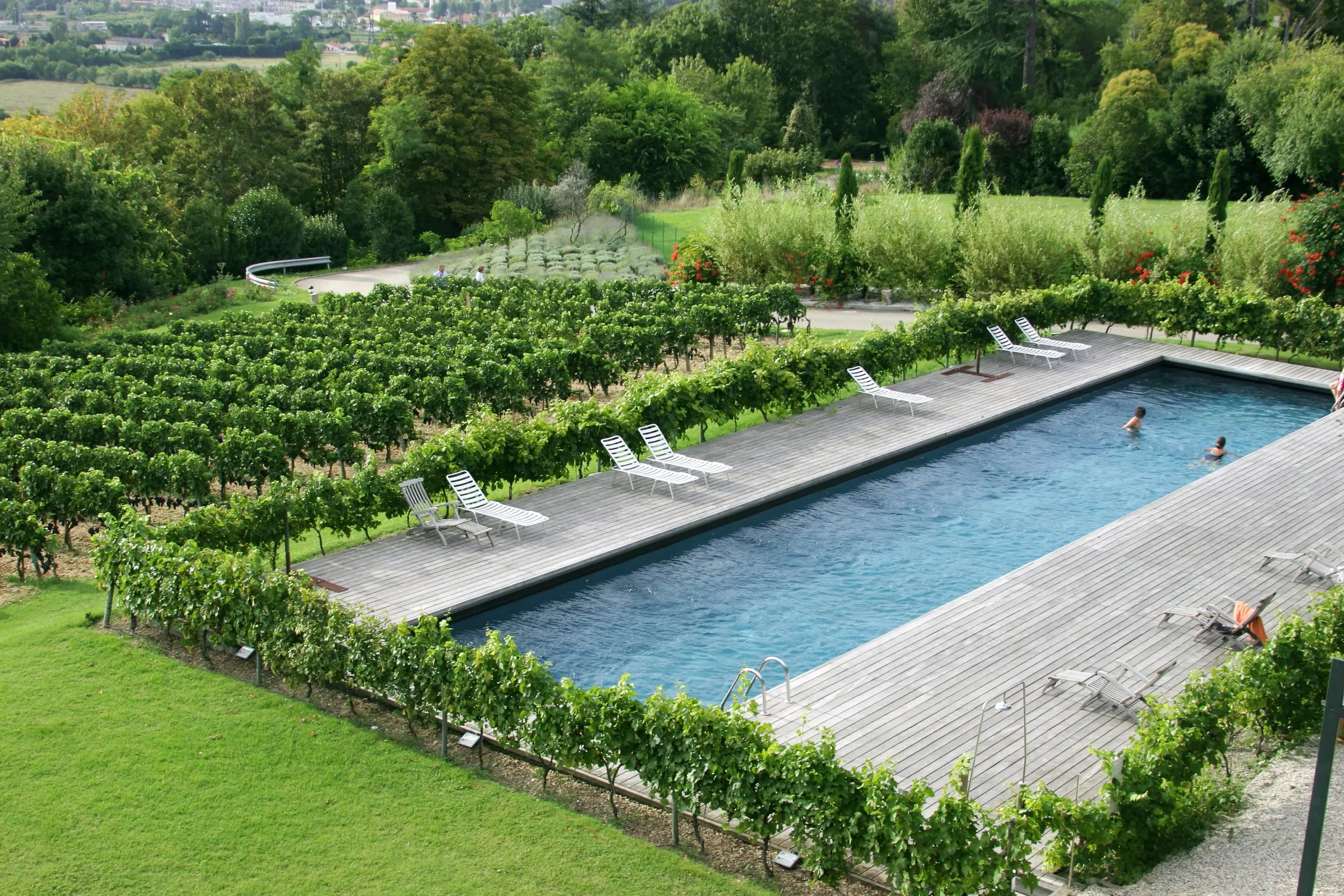<p>piscine extérieure au milieu de vignes</p>

