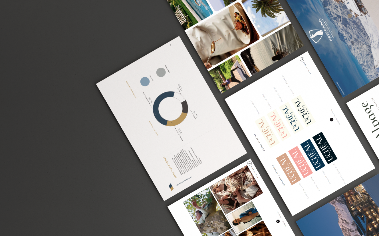 <p>une capture d’écran d’un ordinateur montrant des identités de marque</p>
